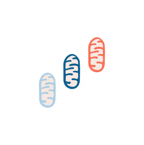 Item #28217420329942861487200254143315689988869562790284857015817128420586857431041 Media