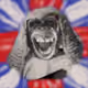 1198762680628547433254021823583743463115999594604386479296304202759387742209