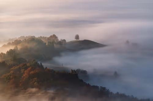 Item #31784539209812987338008238501801476985053436270199177464960010535643327234049 Media