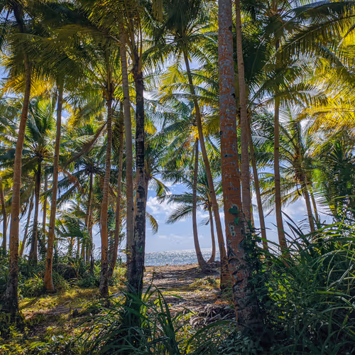 Wakatobi