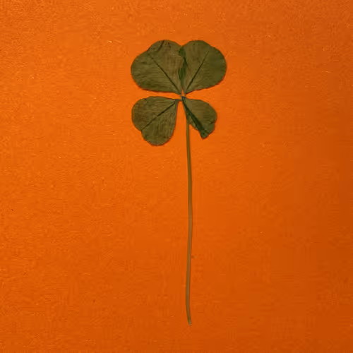 Item #103686640383972386915296784894542231468073856368856454861741467002924324356097 Media