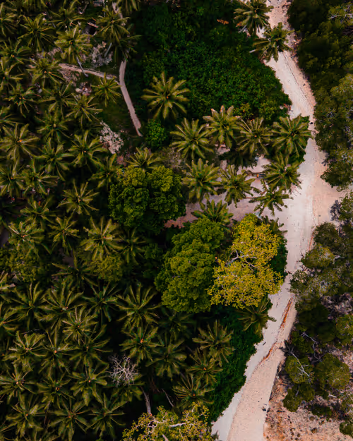 Item #76182420435474433030175106925333141340122143524658153810664851664874451763201 Media