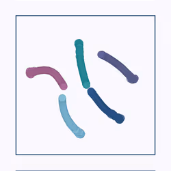 107937117699900001194099939943306584939867407144504846123696048259704828198913