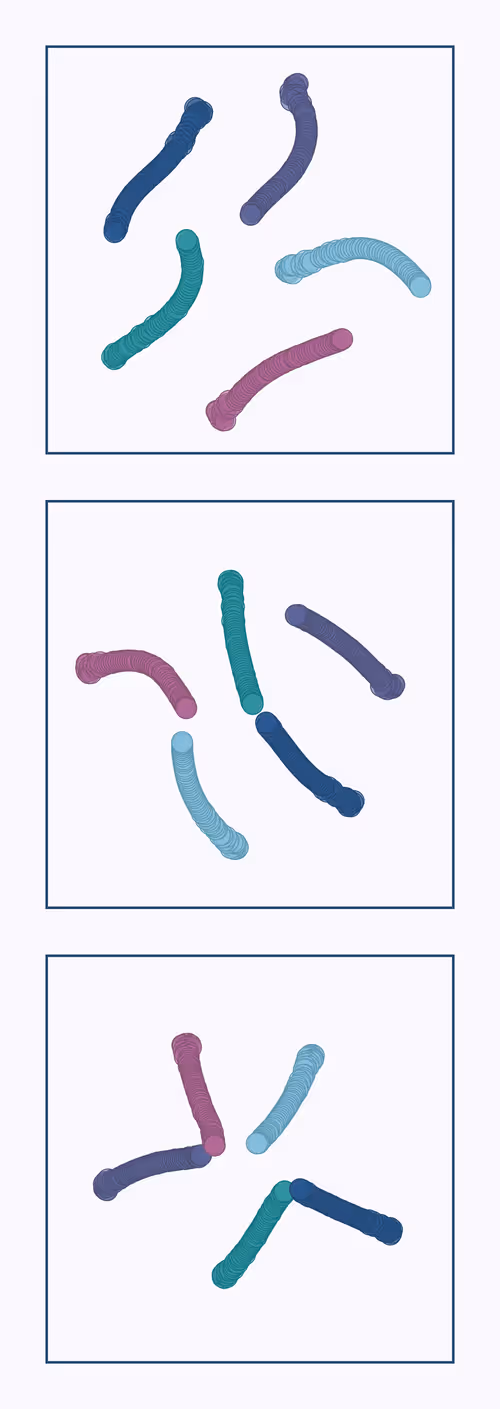 Item #107937117699900001194099939943306584939867407144504846123696048259704828198913 Media