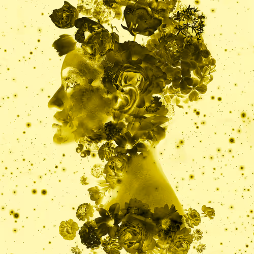 114326855260130091769496603532190643749551084567769454944154782501380984668185