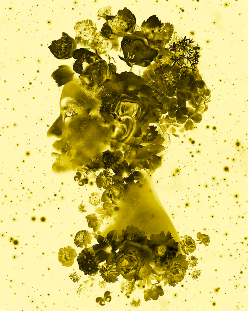 Item #114326855260130091769496603532190643749551084567769454944154782501380984668185 Media