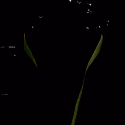 Item #110371613960935959357888473950785093405286635344299845408015399802953460088833 Media