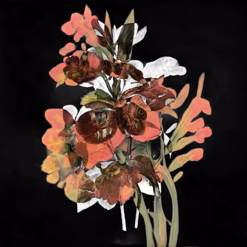 Item #30219199214790705370107894838564201374024020376699396724535342646009995984899 Media