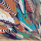 Shortform and 1of1s by Harvey Rayner | Patterndotco
