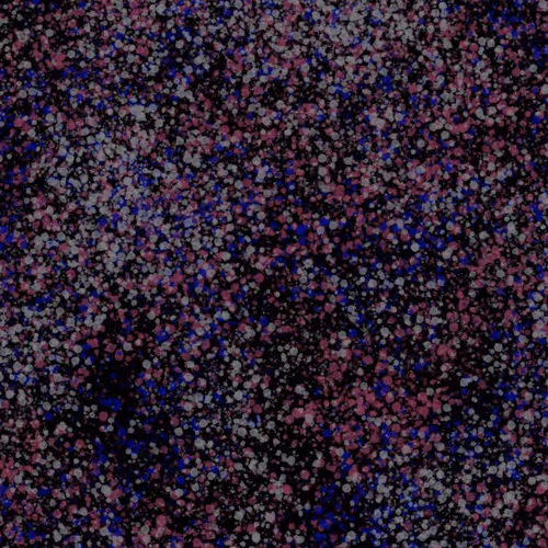 944858660688572096584618472555991747686703840338442188877309633545849798657