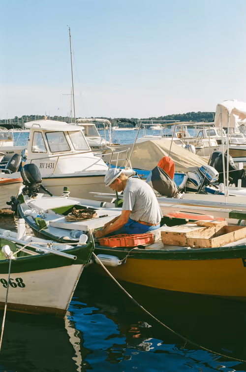 Item #63628819602780504454206795280933286782738899794845292107570097809716817166337 Media