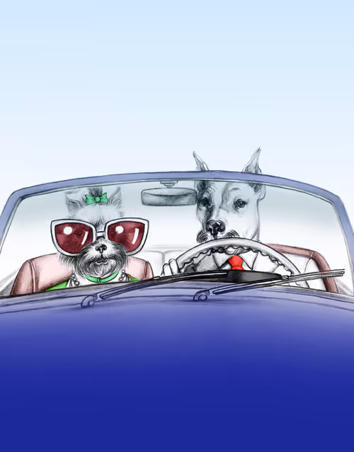 Item #71311971435396950407051768408785952759026074249621230468901597392014275510273 Media