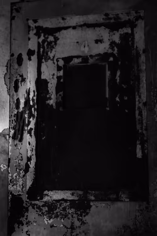 Item #82183435787039742687817407369025087190302189840279601090903984551744887586817 Media