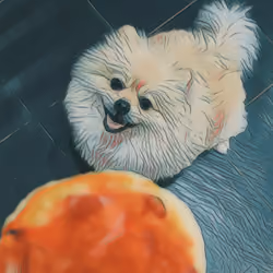 Pizza PomPom