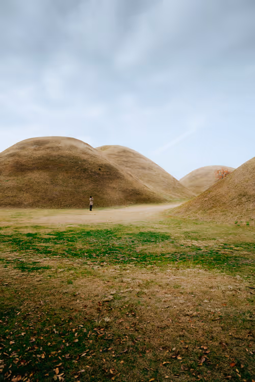 Item #74560649326607298578853393268143794665781666052470848563380919811066608746497 Media