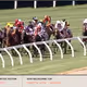 ZED RUN x Lexus Melbourne Cup