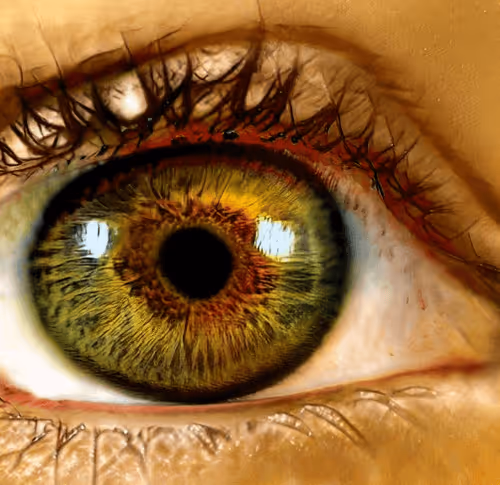 Item #73500473601639277492783536232978387069951164458626547516930003811355475312641 Media