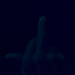 "Fuck you" 001/001