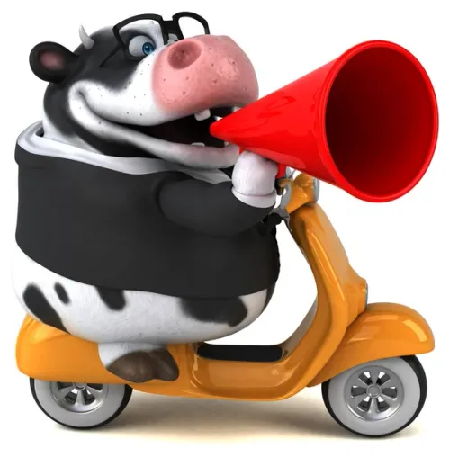 Item #62670295139168213678470007511008098204612410570373934352753128688973783236708 Media