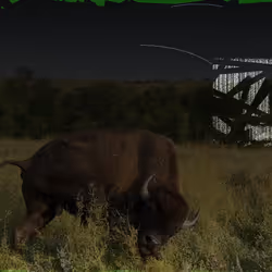 105089968166921690156624725616502706642431777719922472152070405757946663272449