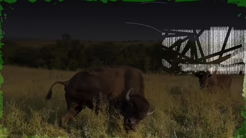 Item #105089968166921690156624725616502706642431777719922472152070405757946663272449 Media