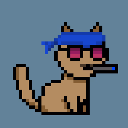 PunkCat #2430