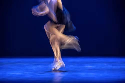 Item #8965084879782408440005669517888823782718184541858268039884352663396947066881 Media