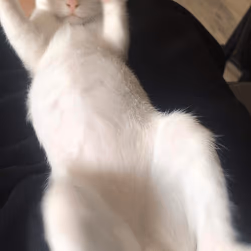 Untitled Collection #198174693