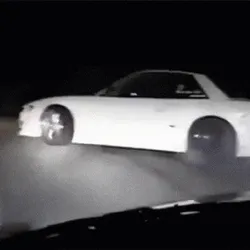 s13