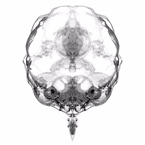 Item #85859191866638808365331437874953228966785819470149775310971063003131133558785 Media