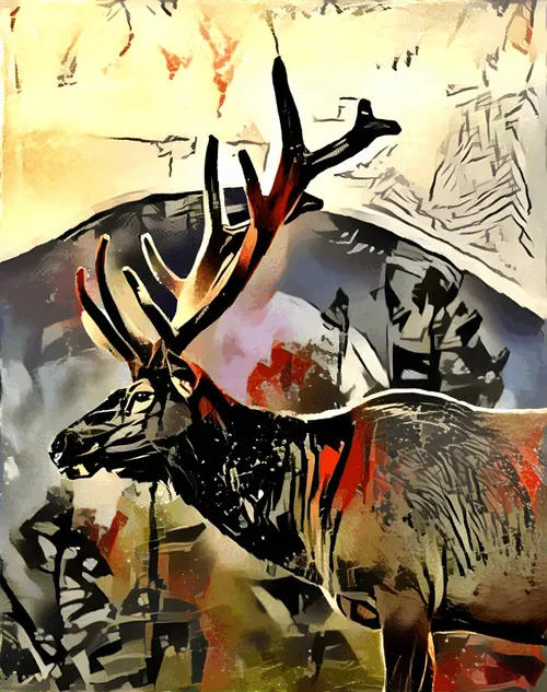 Item #1554799836079500228833107293622539328643029404359757115533642985586884083713 Media