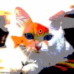 23538819986925566434507765811444276093104658907602947149672917375693277364225