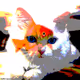 23538819986925566434507765811444276093104658907602947149672917375693277364225
