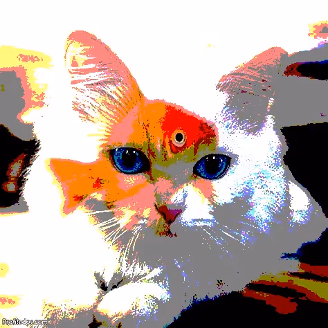 Item #23538819986925566434507765811444276093104658907602947149672917375693277364225 Media