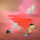 The Sakura Series