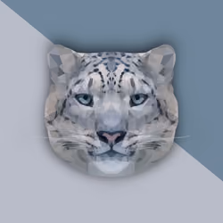 Snow Leopard