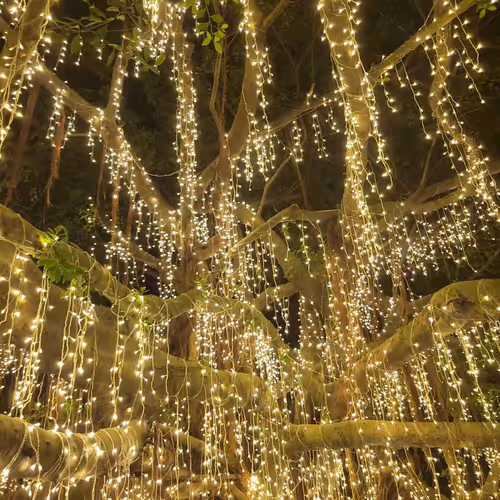 Untitled Collection #88607254