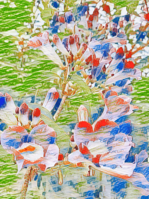 Item #69261177602478584146078213691104273677815526894191982293268527801267279364097 Media