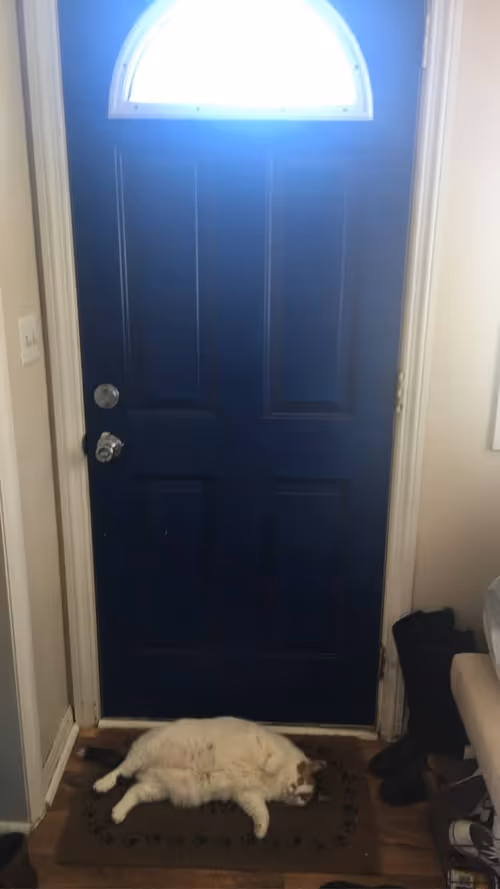 Item #6546672483239098143514928556091508149784909074887584083837318849158950420481 Media
