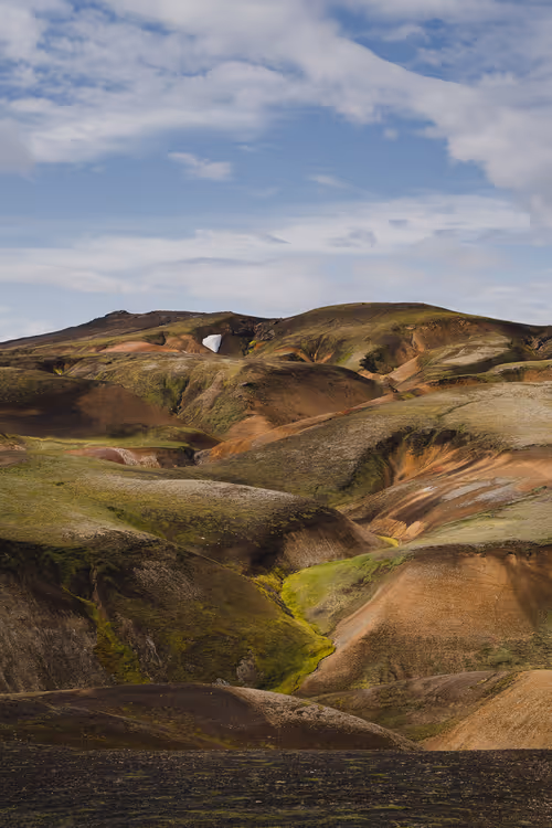 Item #94222414871765707826580274803377987271053637786677016811480512542257784553473 Media