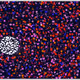 75095670497890257557362329544101162837399213364447091019291386957118113316865