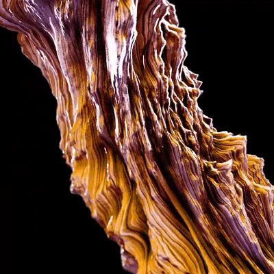 Item #25249503321639968568411337117502815896451552420001888258434038575744757530625 Media