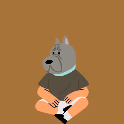 Dogs
