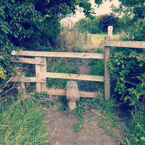 Item #105237010342582609876748436582366170093723610565651913513256945286383379939329 Media