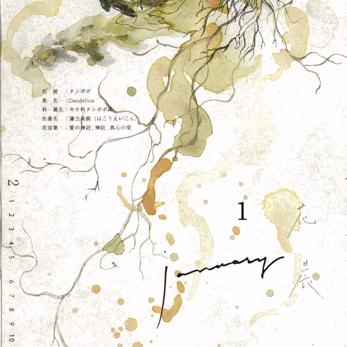 PAMPERPARTY Collection