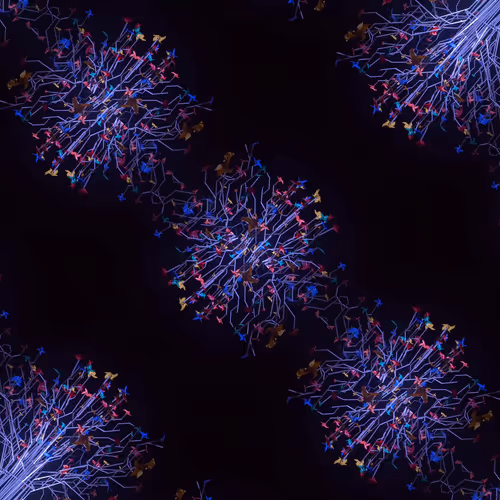 Item #20773620993776867965728889327051891671077453121731207929445086816197916229633 Media