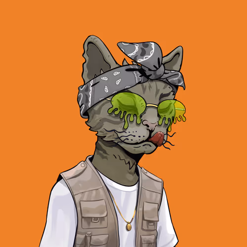 Alley Katz (Cardano)