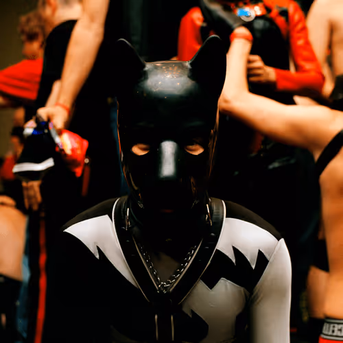 Singles by Zak Krevitt