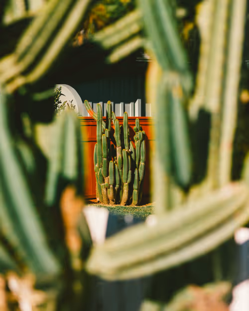 Item #38141354076463530561040962917951676198297601160396849426667128782406474006529 Media