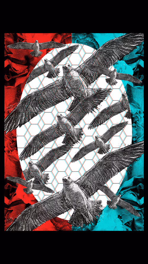 Item #28410917226742763672500200072730177283555242519979892741204181329968426385409 Media